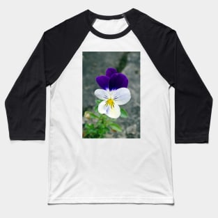 The Wild Pansy Baseball T-Shirt